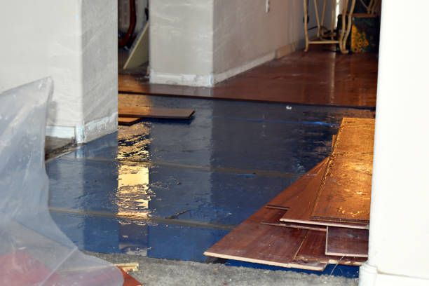 Professional Basement Flood Cleanup technician working in Vicksburg, MI